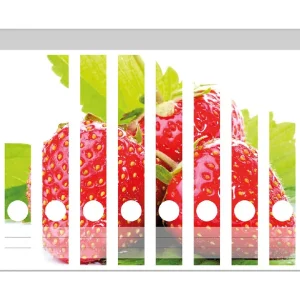 Abverkauf Ordnerrücken Sticker Frische rote Erdbeeren für die Küche inkl. breiter Ordner, 12 Sticker