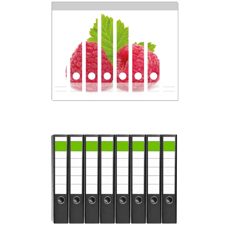Finale Aktion Ordnerrücken Sticker Himbeeren mit grünem Blatt auf weißem Grund inkl. schmaler Ordner, 12 Sticker