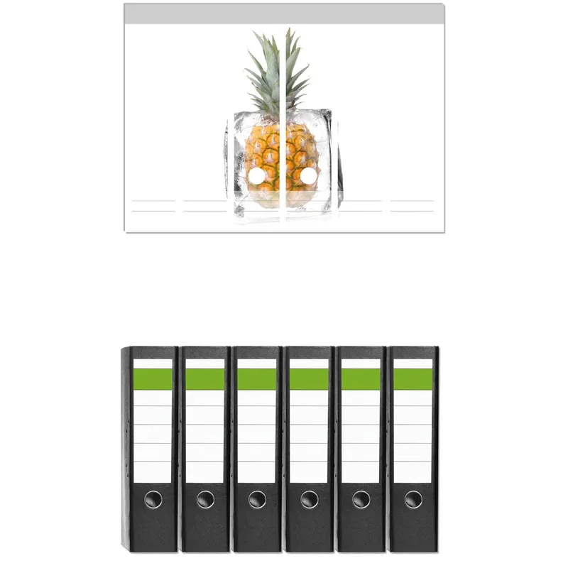 Ordnerrücken Sticker Ananas in Eiswürfel - Eiskaltes Obst für schmale Ordner, 12 Sticker Aktuell