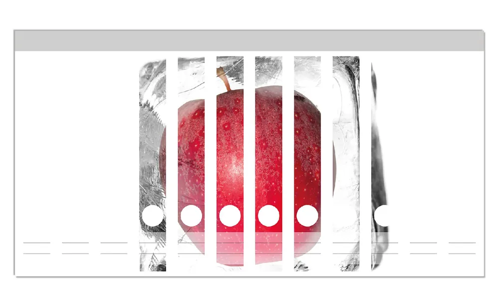 Mega-Angebot Ordnerrücken Sticker Roter Apfel in Eiswürfel - Eiskaltes Obst inkl. breiter Ordner, 12 Sticker