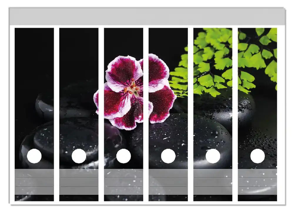 Bestpreis Ordnerrücken Sticker Geranienblüte auf schwarzen Steinen, benetzt mit Wassertropfen inkl. schmaler Ordner, 8 Sticker