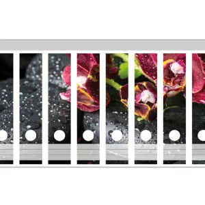 Abverkauf Ordnerrücken Sticker Dunkelrote Orchideen-Blüte auf schwarzen Steinen mit Regentropfen für breite Ordner, 6 Sticker