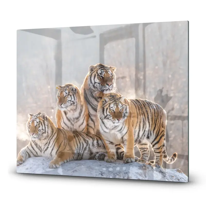 Herdabdeckplatte Gruppe von Tigern 60x52 Online Kaufen